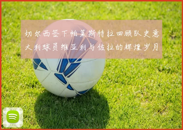 切尔西签下帕莱斯特拉回顾队史意大利球员维亚利与佐拉的辉煌岁月
